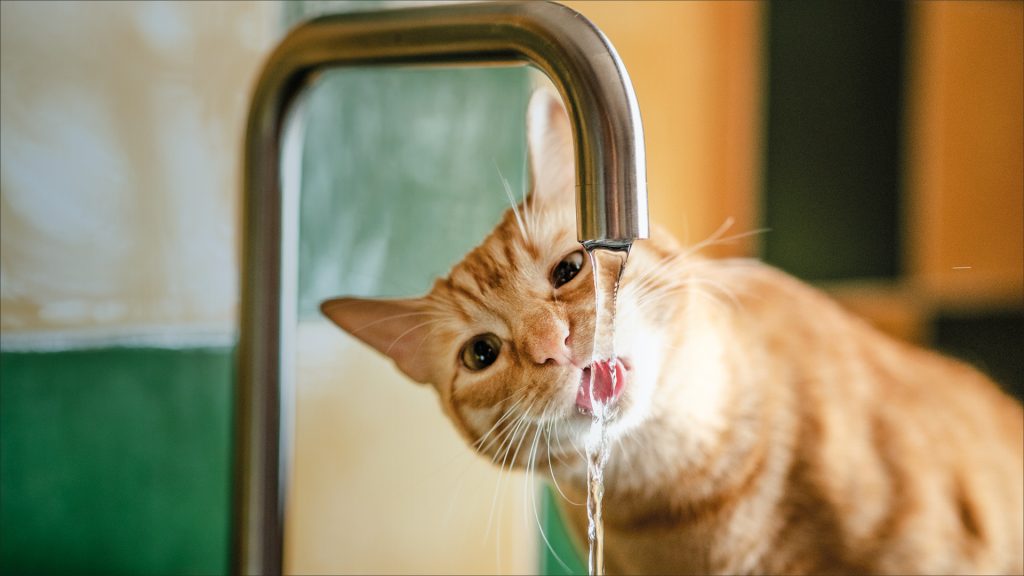 Risparmiare acqua