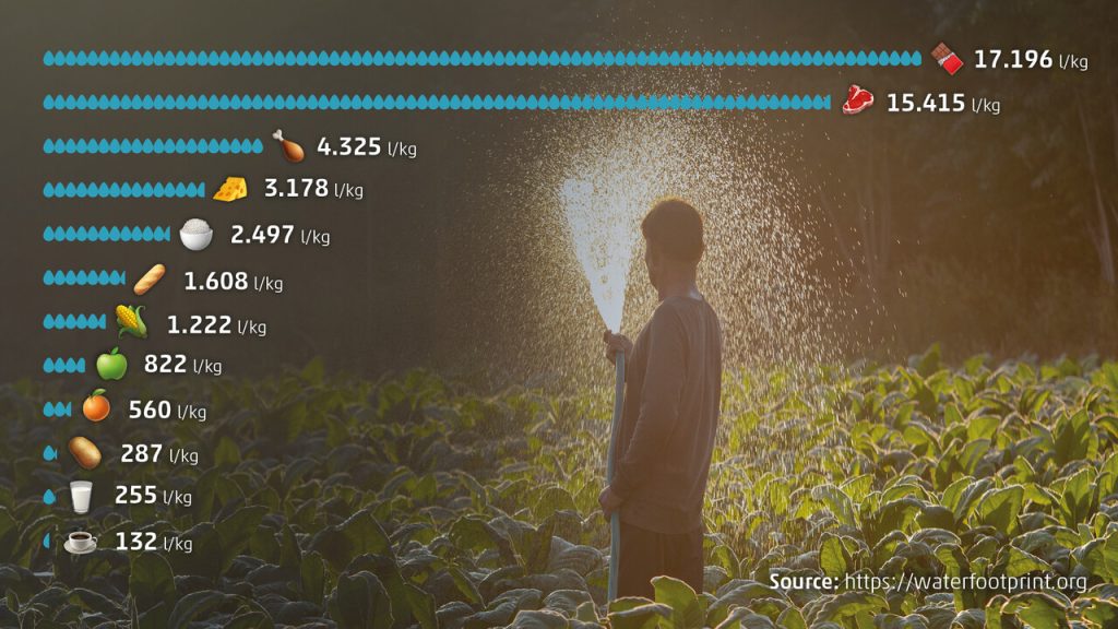 infografica impronta idrica del cibo