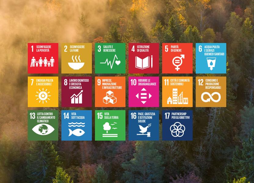 SDGs