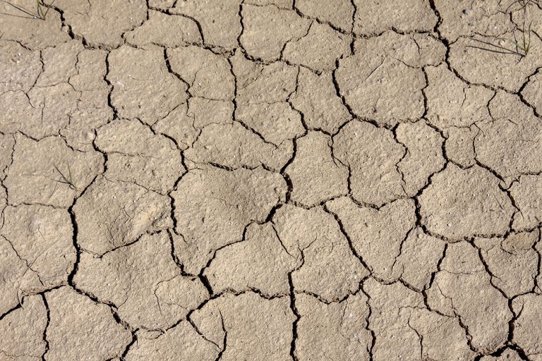 Trockenheit