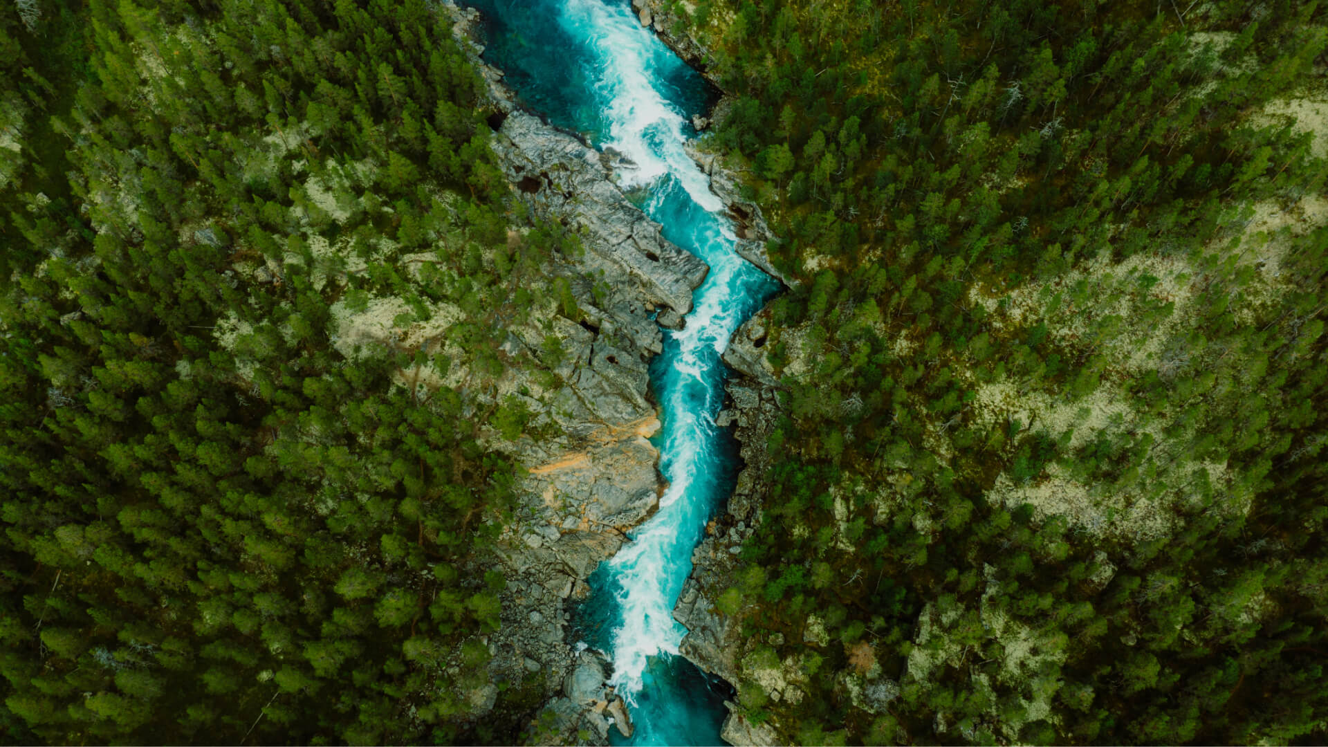 ein Fluss zwischen Felsen und Bäumen