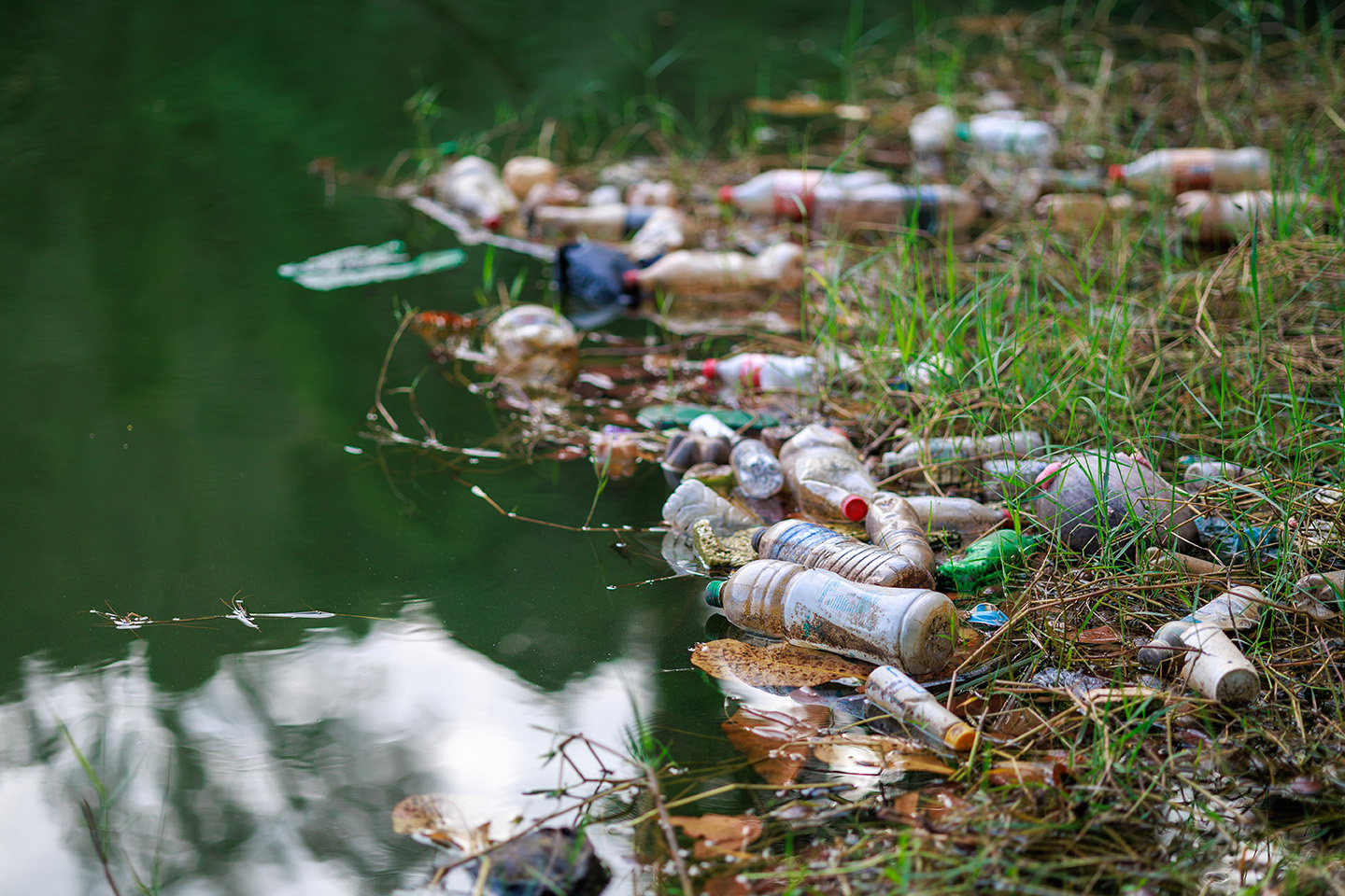 Cosa succede alla plastica nei fiumi prima che raggiunga il mare?